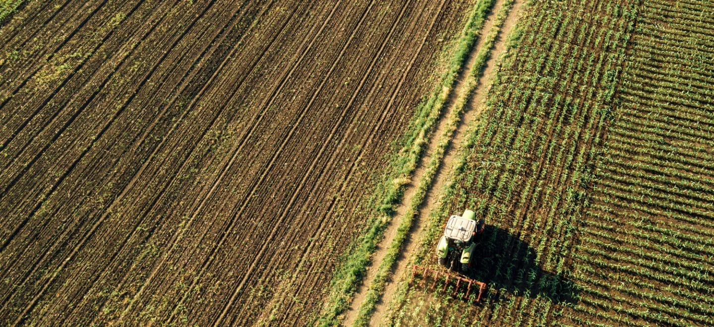 farm drainage improves crop yield